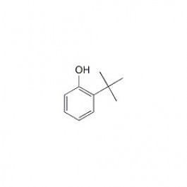 2-tert-Butylphenol