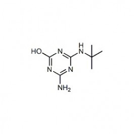 Terbuthylazine-desethyl-2-hydroxy