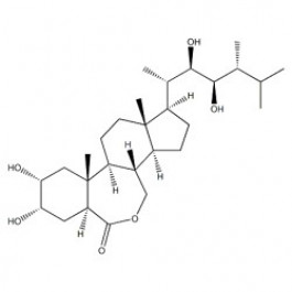 Epibrassinolide