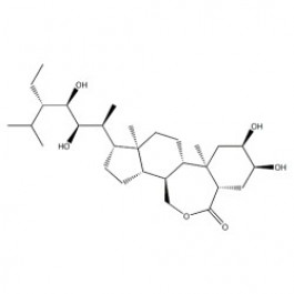 Homobrassinolide