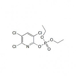 Chlorpyrifos-oxon