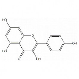 Kaempferol