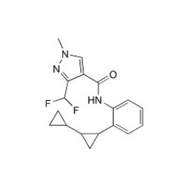 Sedaxane