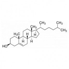 Cholesterol