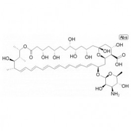 Amphotericin B